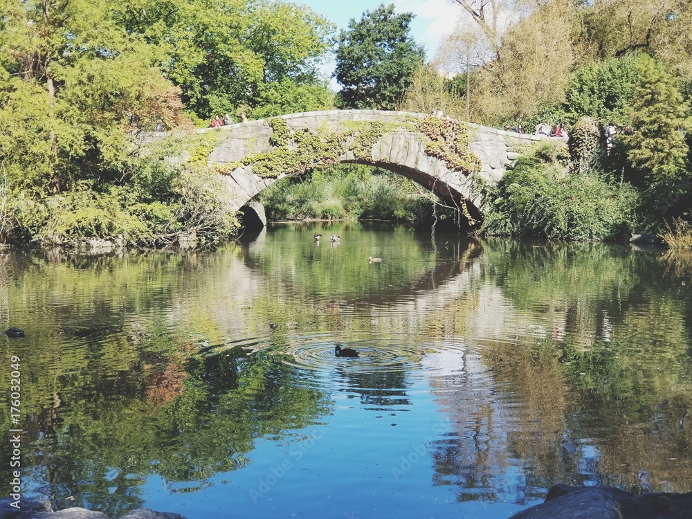 Bridge over pond with summer day reflections Bridge over pond with summer day reflections