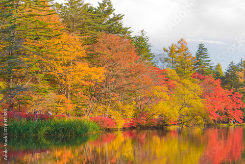 Delightful autumn colors of Kumoba pond in Karuizawa,Japan photo