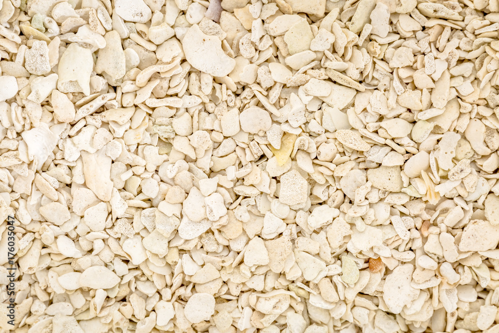 sand grain macro texture from Florida beach beach sand grain macro texture from Florida beach beach