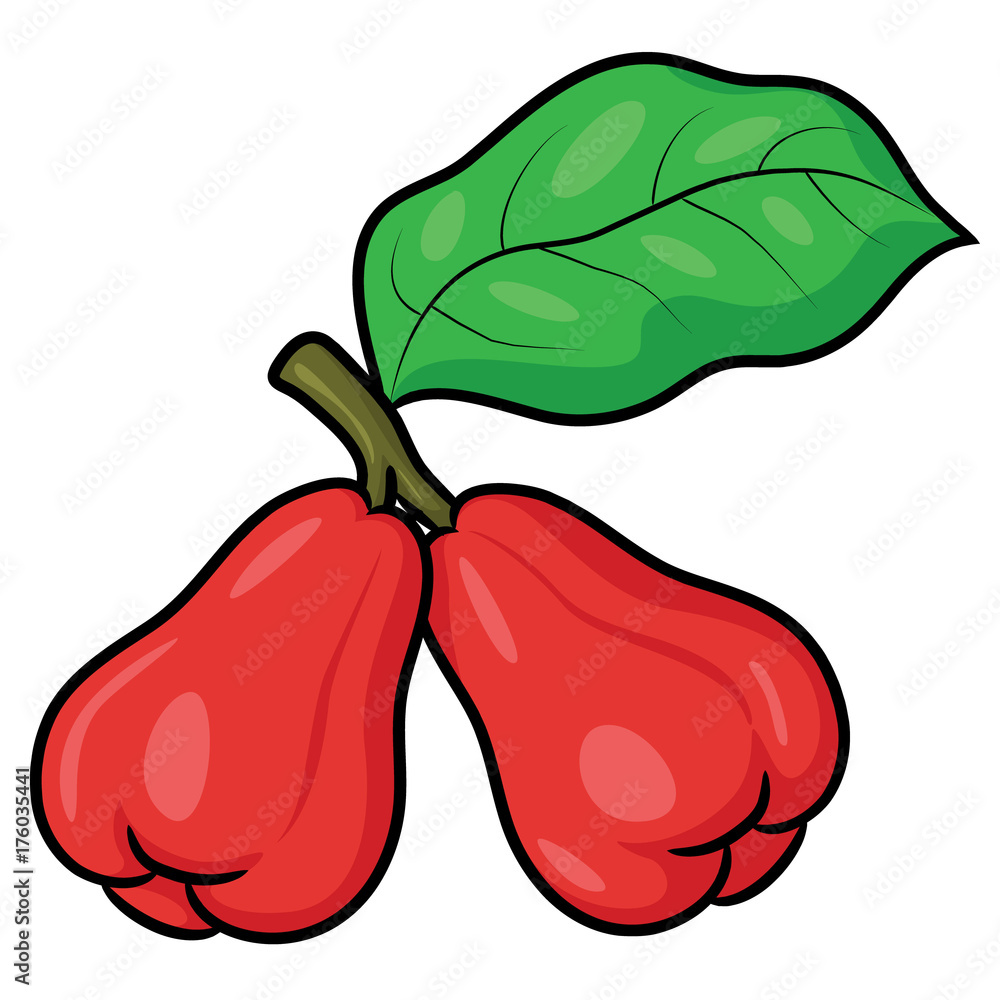 Rose Apple Cartoon Illustration of cute cartoon rose apple. Stock