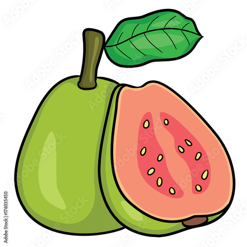 Guava Cartoon
Illustration of cute cartoon guava.