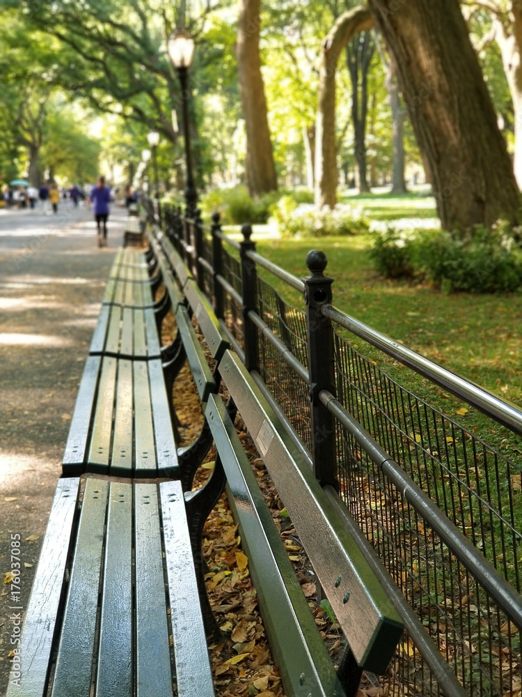 Green empty benches in park Green empty benches in park