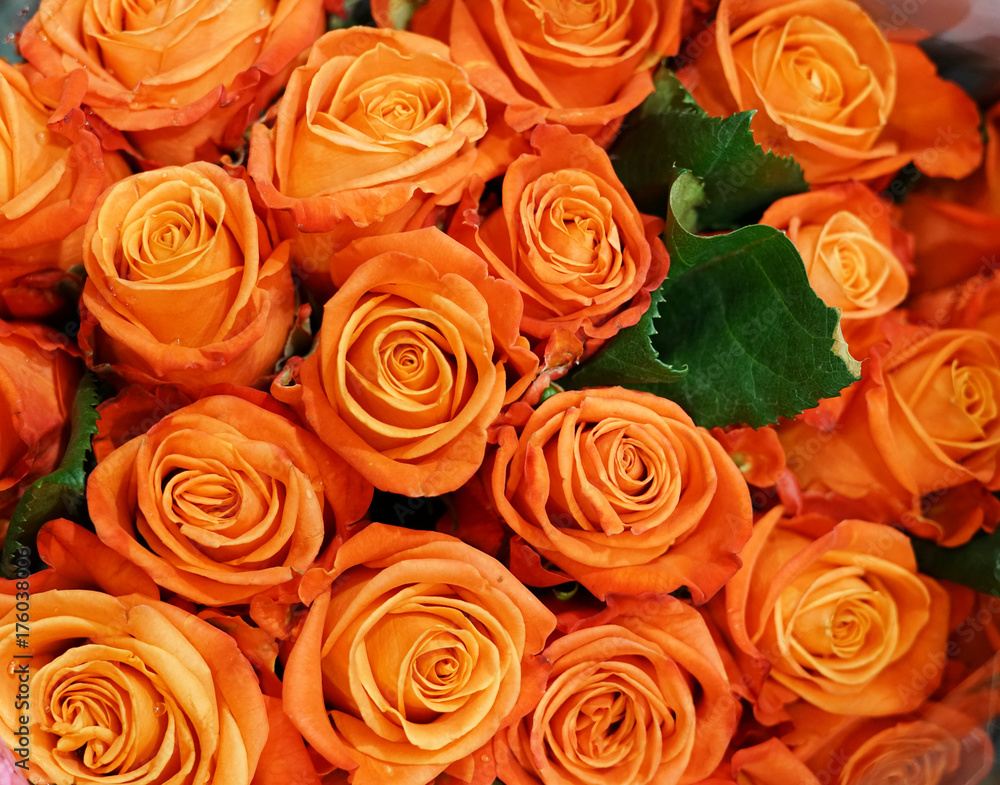 Naklejka premium Flower background of bouquet roses in orange