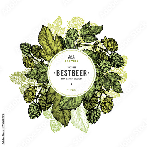 Beer hop illustration. Engraved style illustration. Vintage beer hop design template. Vector illustration photo