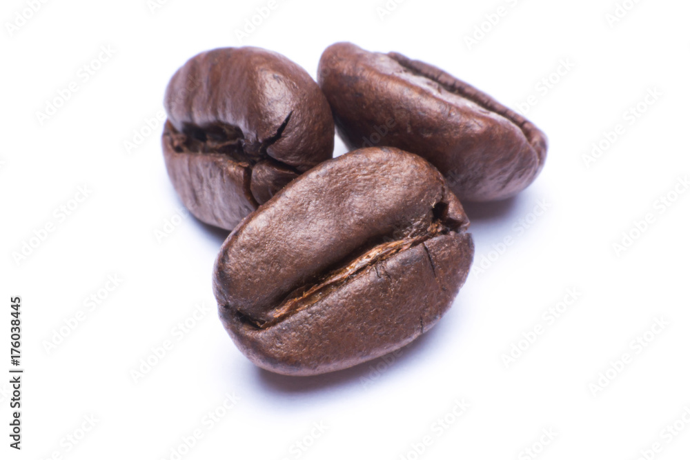 coffee bean close up macro isolated on a white background coffee bean close up macro isolated on a white background