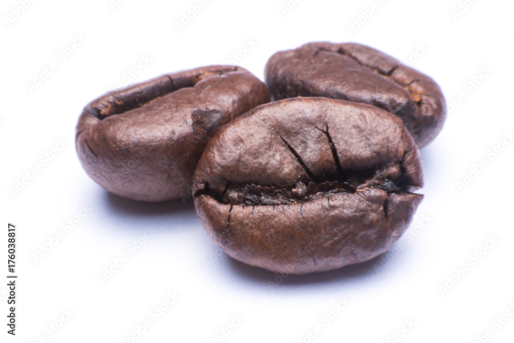 coffee bean close up macro isolated on a white background coffee bean close up macro isolated on a white background
