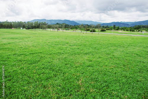 Lawn with mountain background.