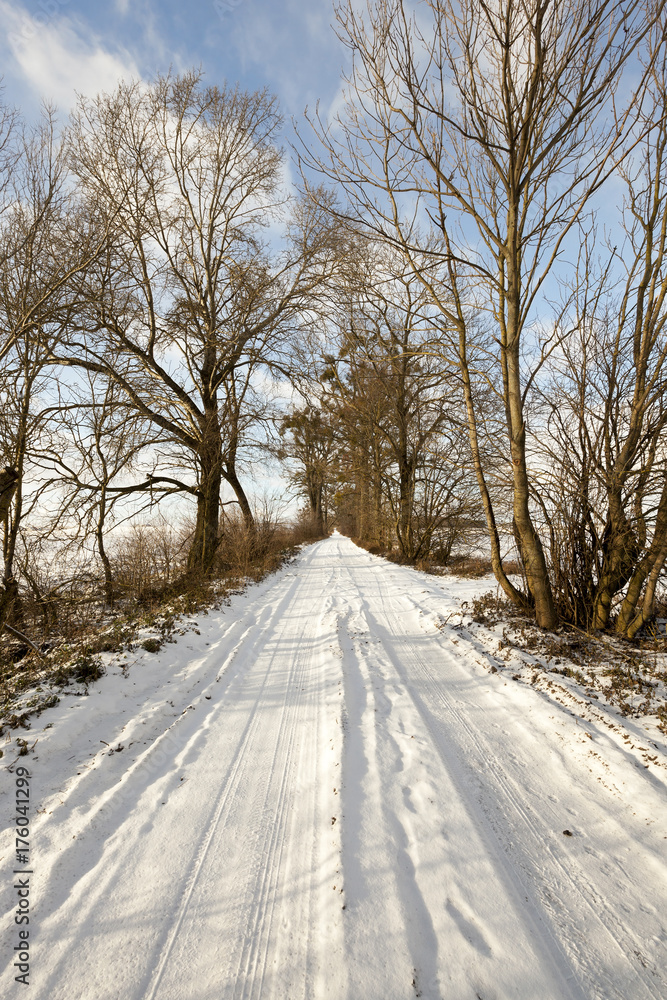 Obraz premium The road in winter