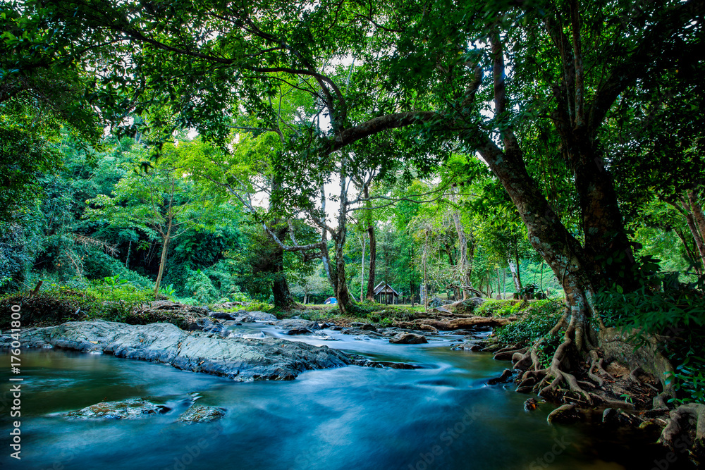 Fototapeta premium creek of klong lan water fall national park thailand