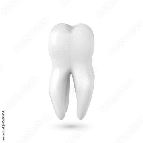 Illustration of Vector Realistic 3D Tooth. Healthy Teeth Care Vector Product Template Isolated on White Background