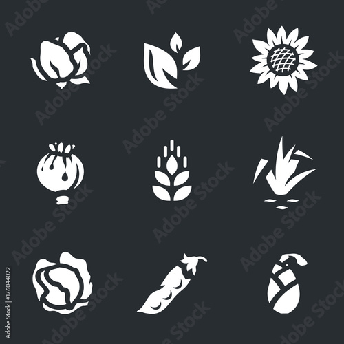 Fototapeta Naklejka Na Ścianę i Meble -  Vector Set of Harvest Icons.