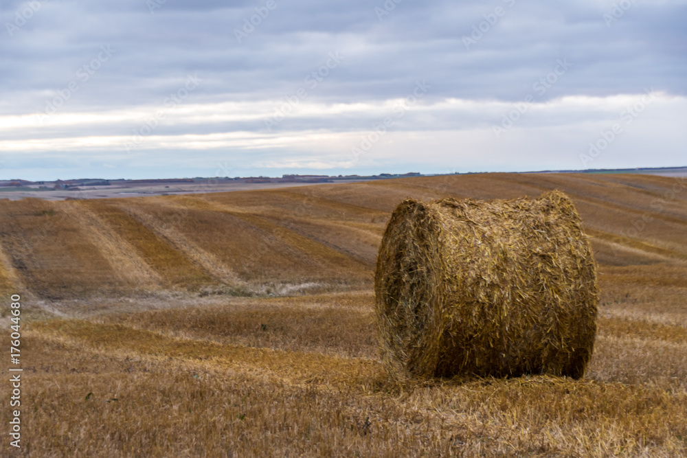 Hay Bale in the Autumn Harvest 