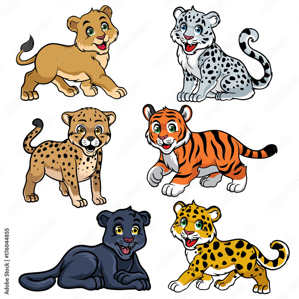 collection of babies big cats collection of babies big cats