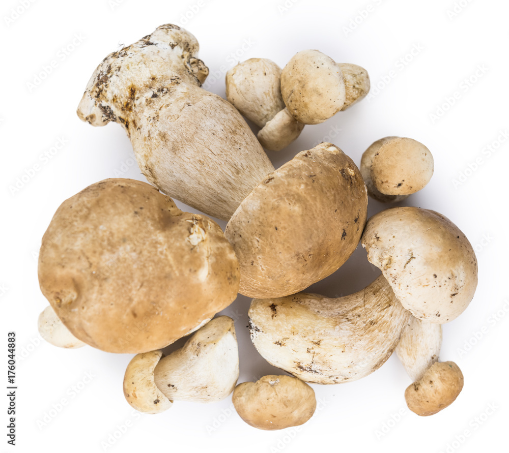 Porcinis (raw) isolated on white background Porcinis (raw) isolated on white background