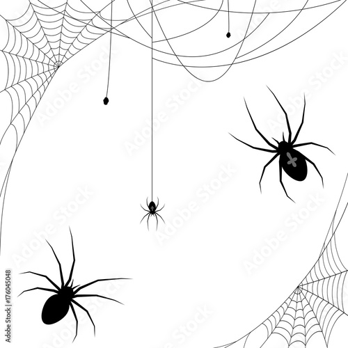 Halloween spider and spider webs