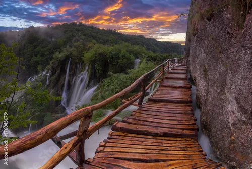 Obraz most nad drzewami