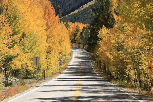 Autumn  Golden trees along the US route 82 in Rock Mountain