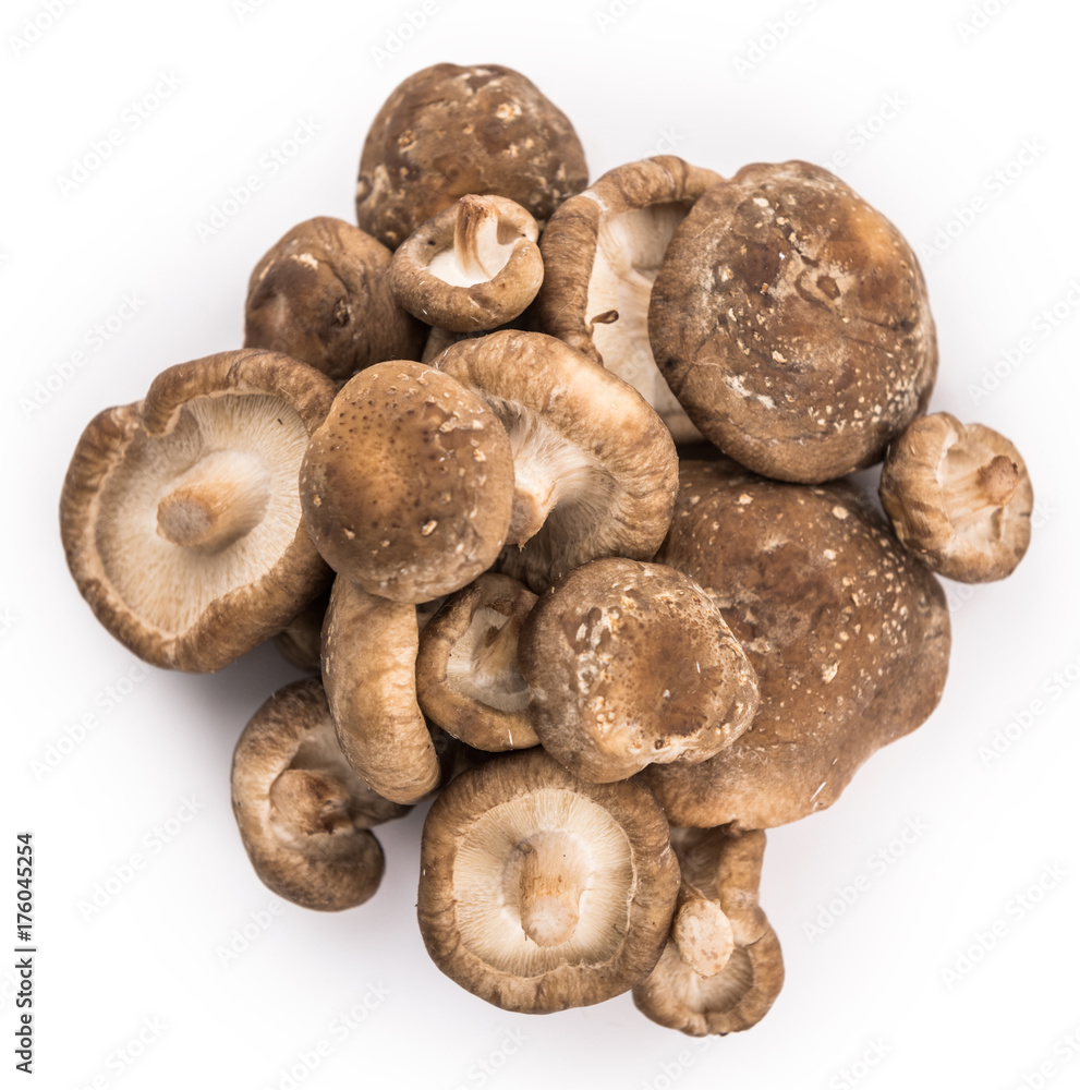 Portion of Shiitake mushrooms isolated on white Portion of Shiitake mushrooms isolated on white