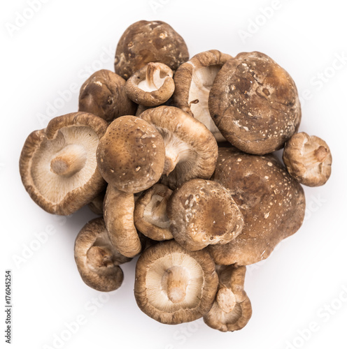 Portion of Shiitake mushrooms isolated on white