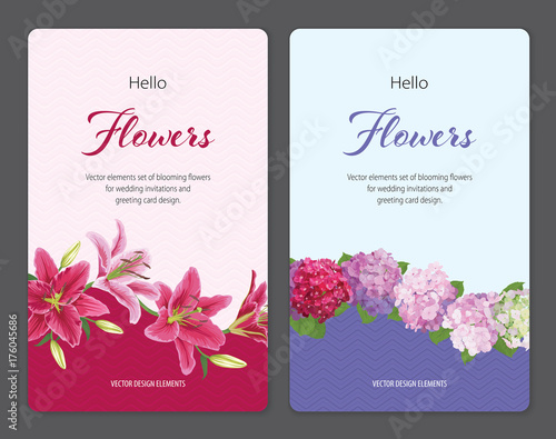 Fototapeta Naklejka Na Ścianę i Meble -  Colorful lilies flower and hydrangea template. Vector set of blooming floral for wedding invitations and greeting card design.