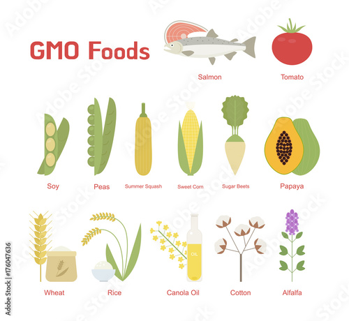 kind of Representative GMO food vector flat design illustration set 