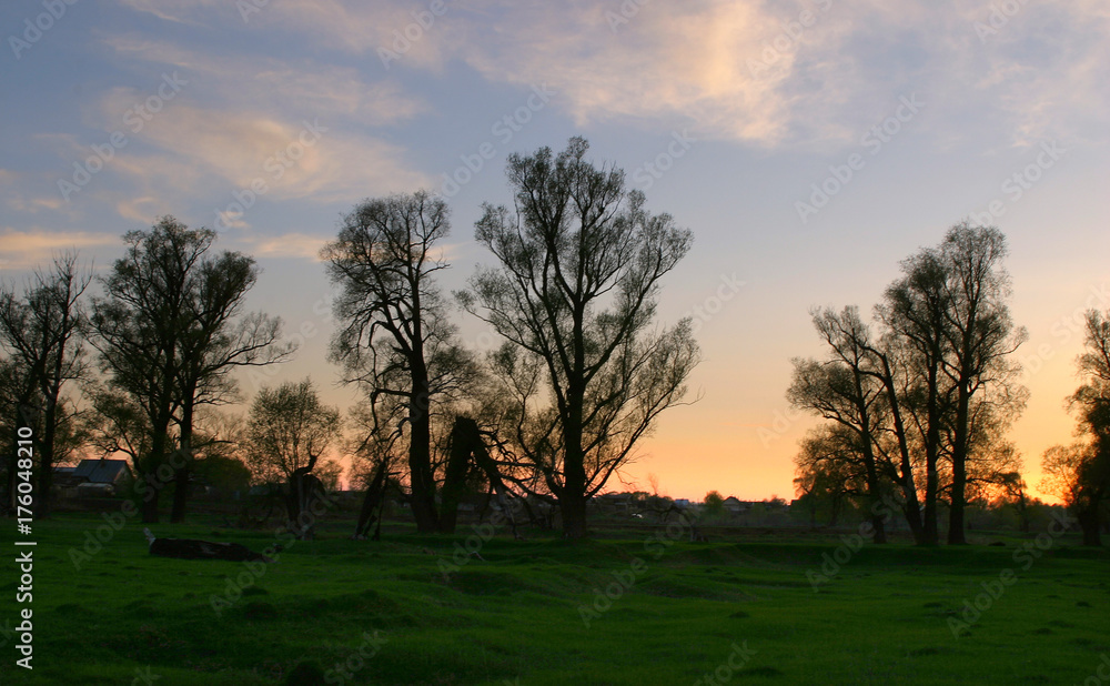 Naklejka premium spring landscape
