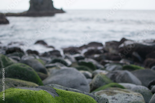 mossy rocks at the ocean photo