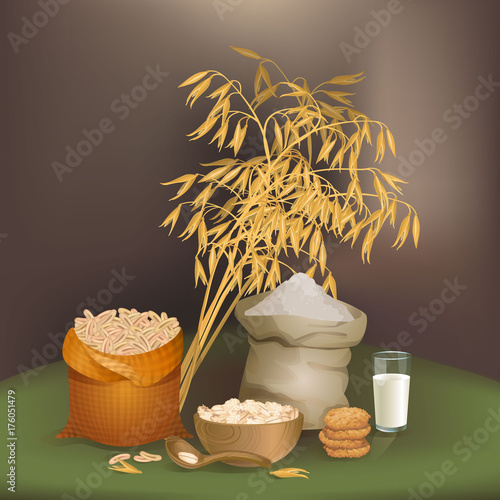 Illustration with oats foodstuff / There are sack with oats grains, flour, some cookies, liquid glass, flakes, and oats ears
