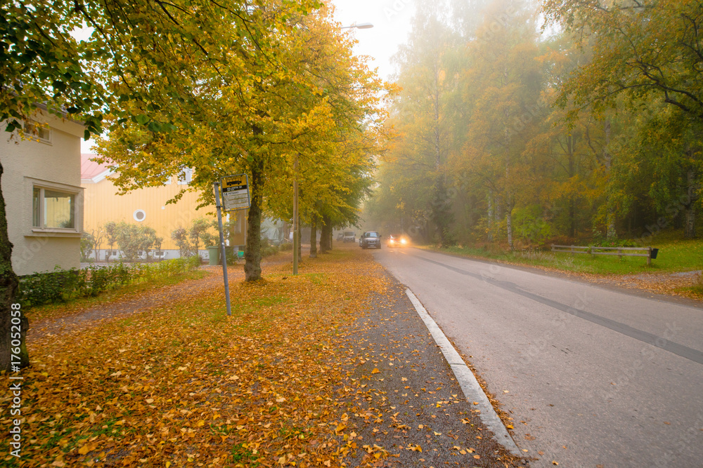 Obraz premium Autumn