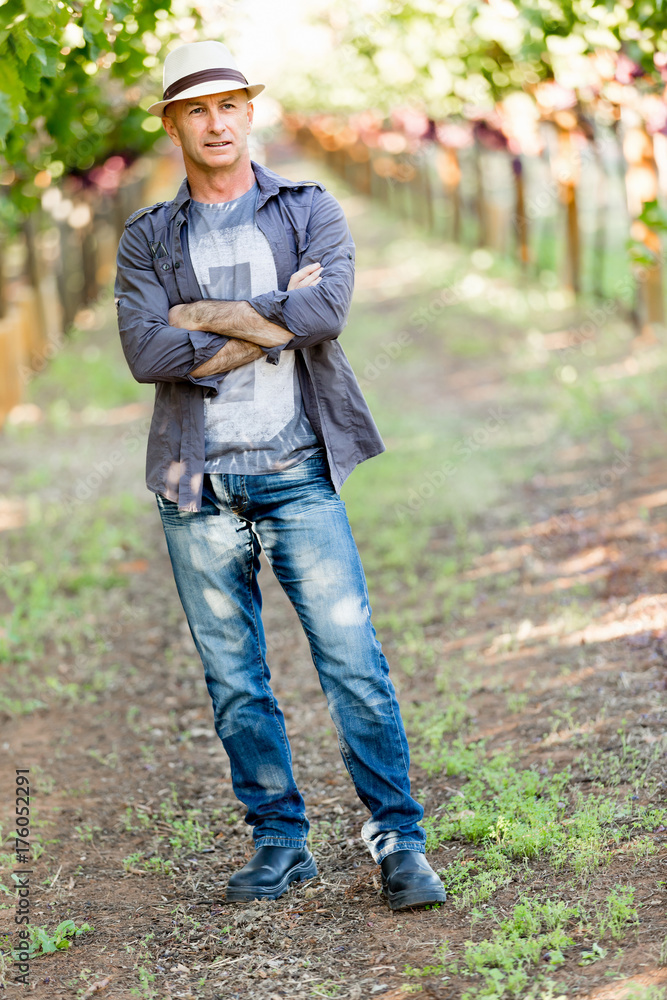 Fototapeta premium Man standing in vineyard