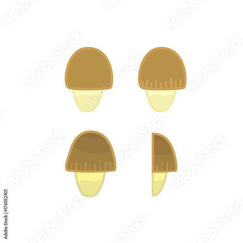 Flat colorful cartoon straw mushroom icon. Isolated vector shroom symbol for cookbook recipe, childrens book or game illustration, health protein food concept