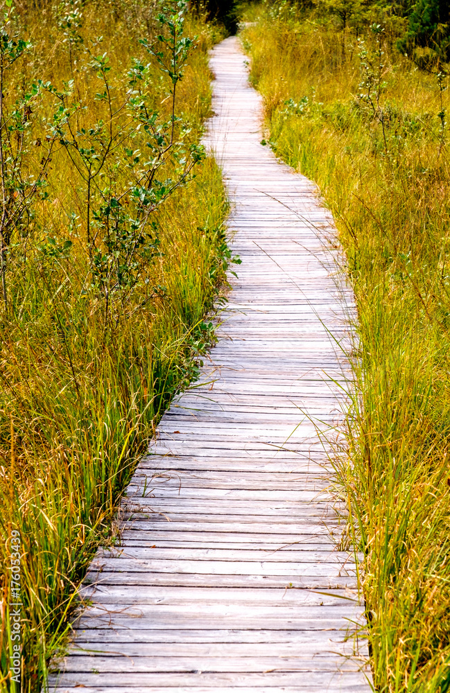 Obraz premium wooden footpath