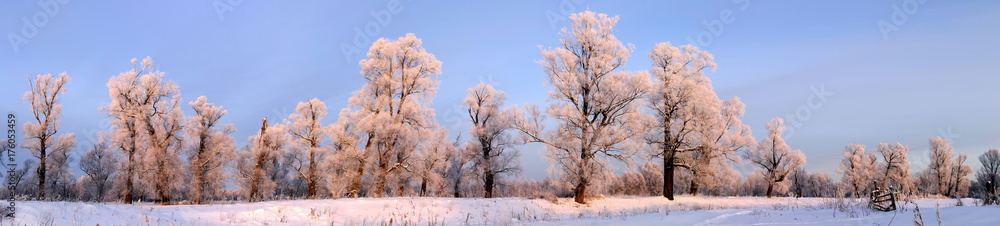 a long walk in nature snowy Russian winter