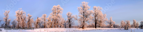 a long walk in nature snowy Russian winter