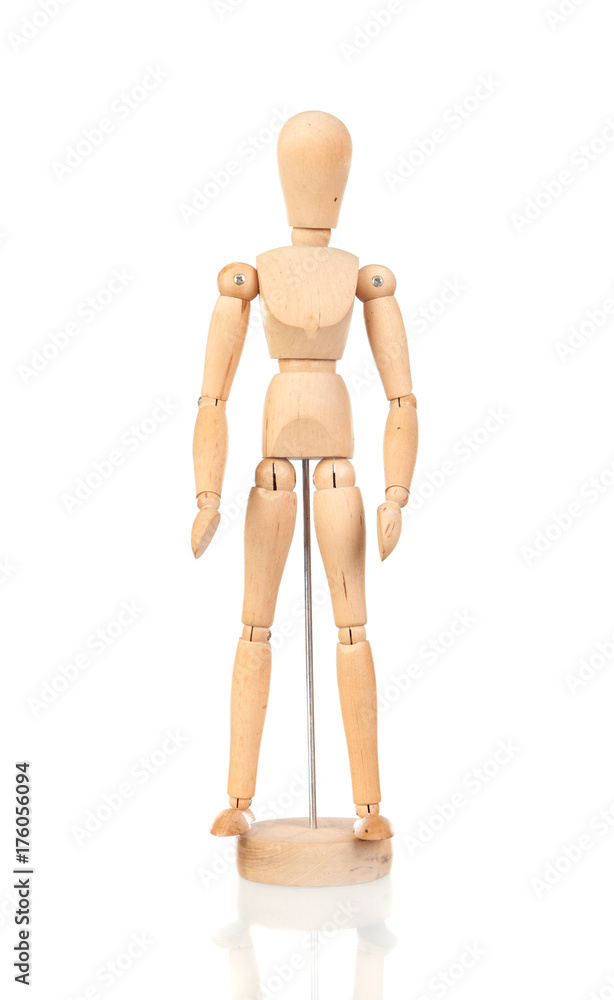 Wooden Model of the person