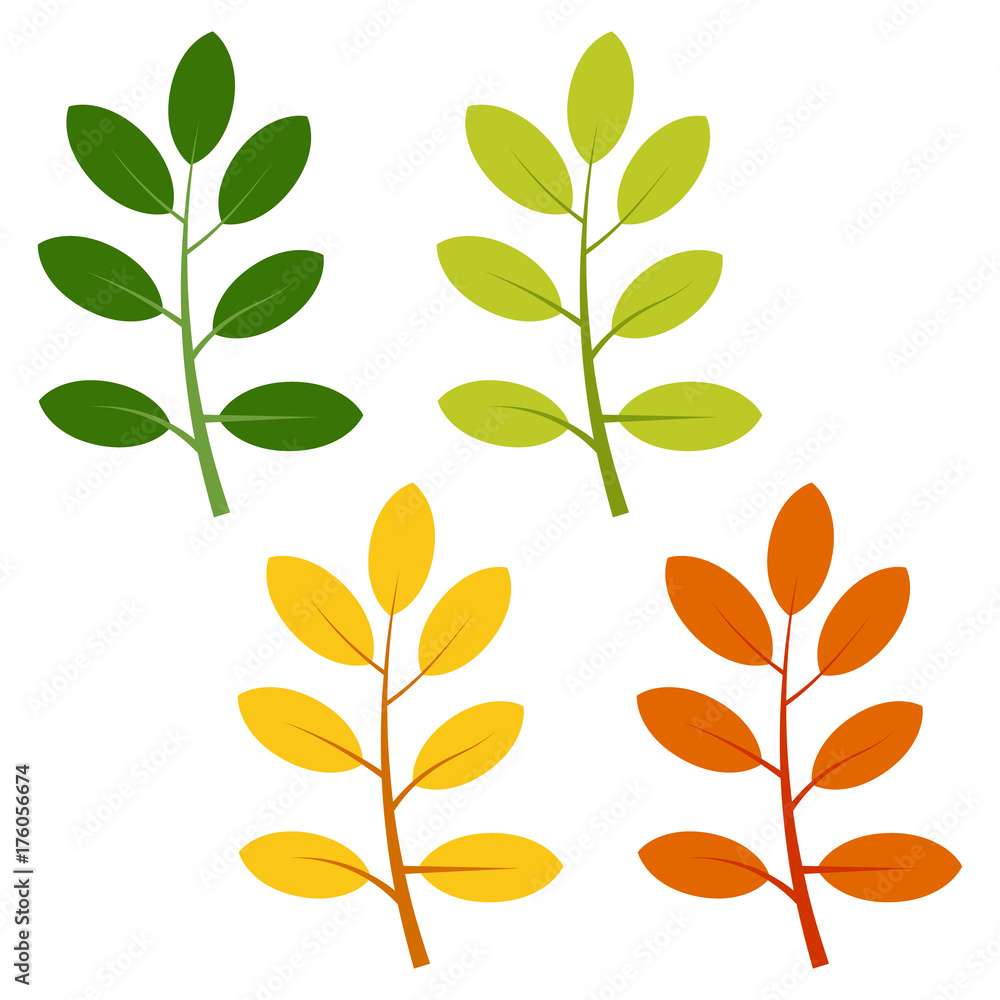 Set of green, yellow and red leaves isolated on white background. Vector illustration of autumn leaves.
Set of green, yellow and red leaves isolated on white background. Vector illustration of autumn leaves.