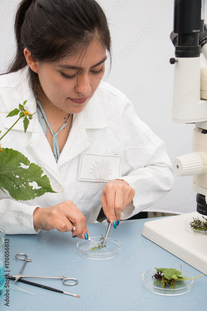 Young botanist at work, preparing fresh plant sample and examining specimen for further analysis Young botanist at work, preparing fresh plant sample and examining specimen for further analysis