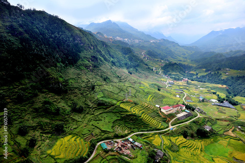 Rice fields on terraced of Vietnam