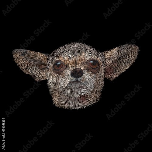 portrait of a dog chihuahua with flowers. traditional stylish fashionable embroidered embroidery on black background. sketch for printing on fabric, bag, clothes, accessories and design. trend vector