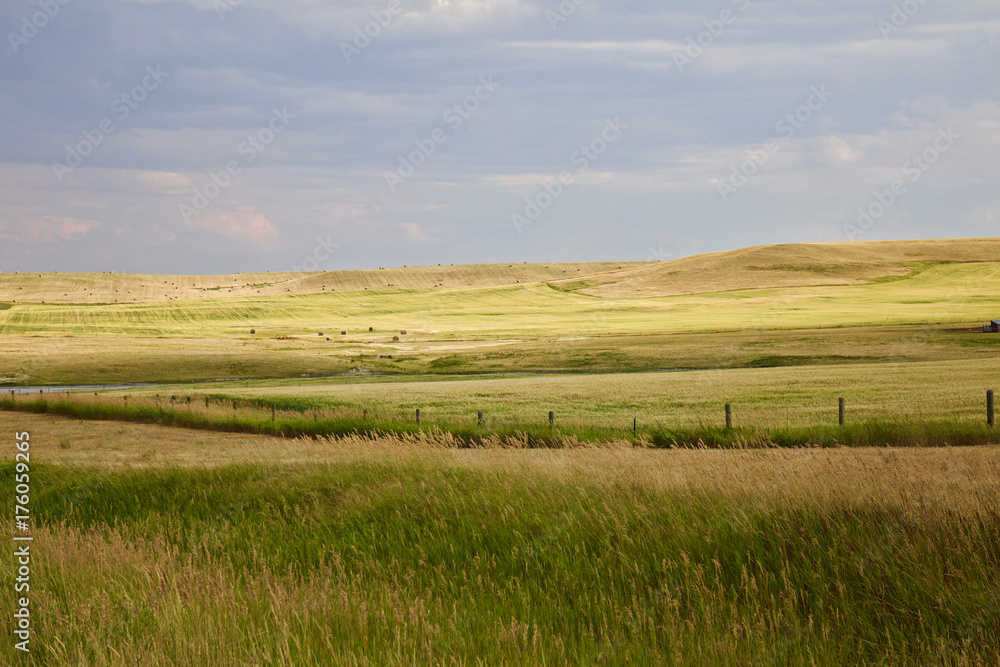 Fields and grasslands landscape / Agricultural rural countryside