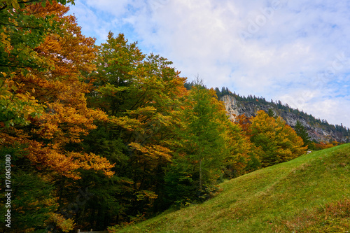 Fototapeta Naklejka Na Ścianę i Meble -   Autumn trees and a green meadow in front of a mountainscape