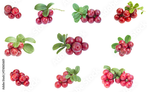 ten cowberries - cranberries composition set with leaves on the white background isolated