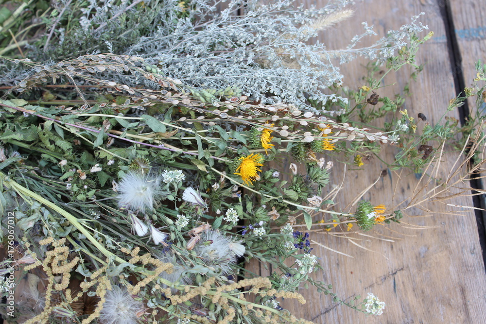 Obraz premium Dried medicinal herbs