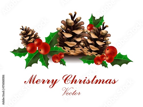 Merry Christmas Card Vector. Fir tree branches and viburnum on whites