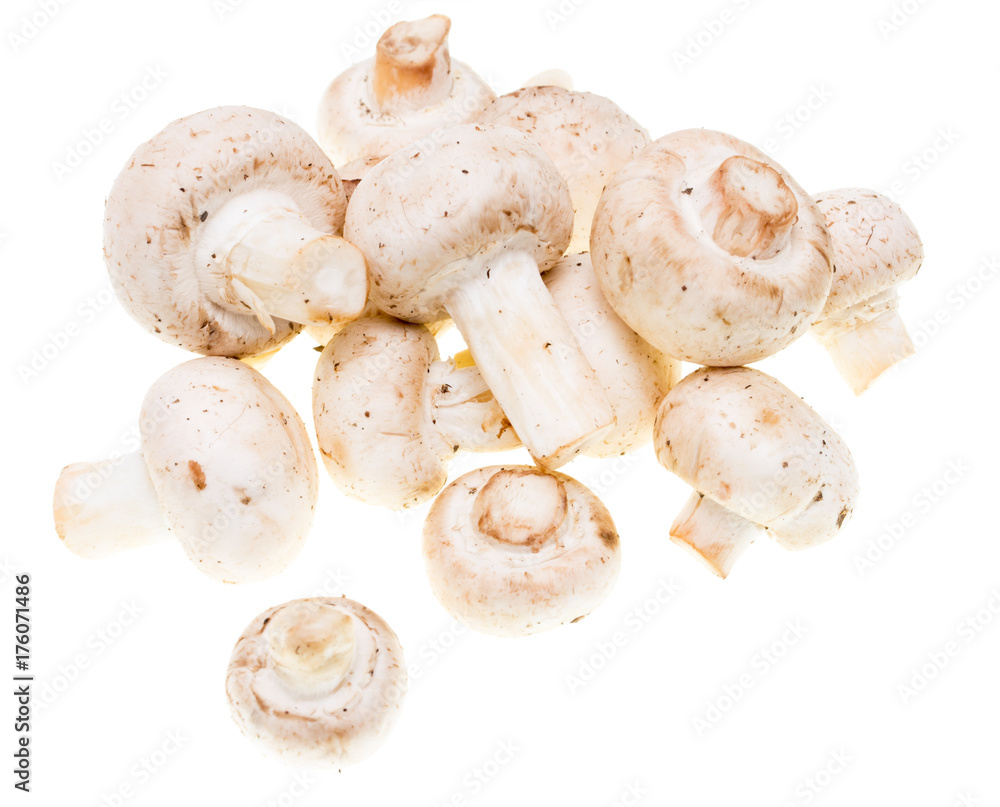 Mushrooms champignons on a white background Mushrooms champignons on a white background