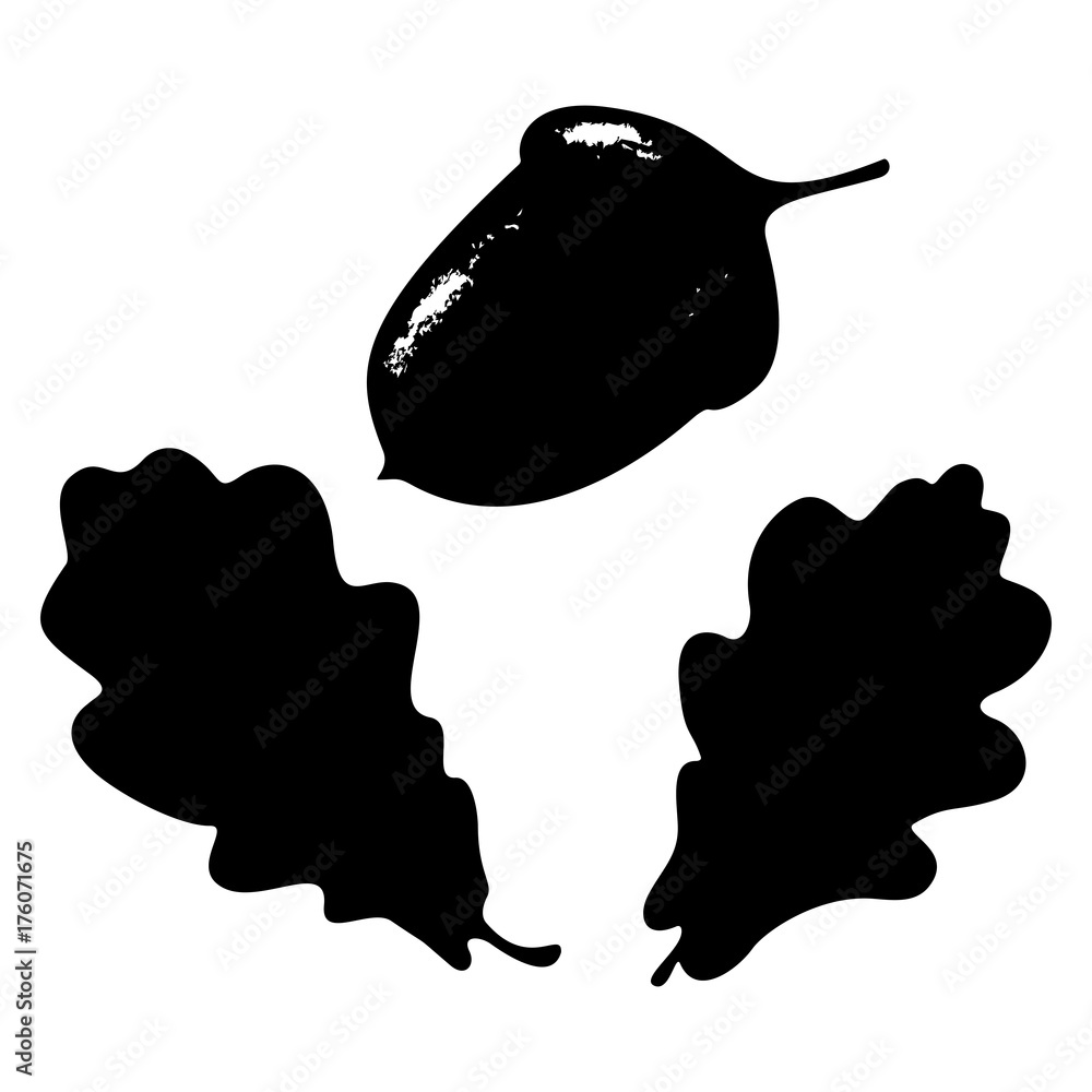 Ecology stylized vector illustration. Oak leaf, acorn and branch isolated silhouette. Eco nature seasonal graphic Ecology stylized vector illustration. Oak leaf, acorn and branch isolated silhouette. Eco nature seasonal graphic