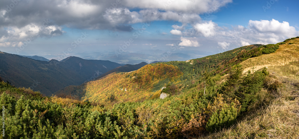 Naklejka premium Fall in mountains