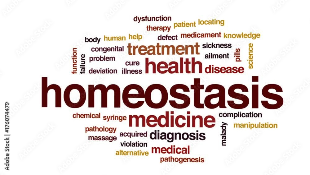 Homeostasis animated word cloud, text design animation. Homeostasis animated word cloud, text design animation.