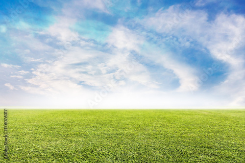 Green lawn and sky background