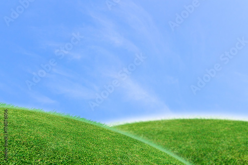 Green lawn and sky background © releon8211